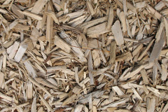 biomass boilers Hafod